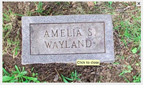 Amelia Spinner Wayland